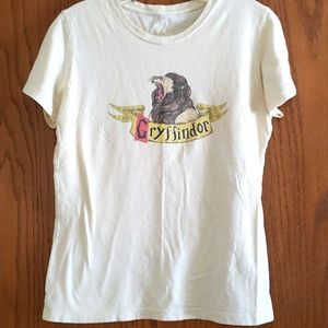 TeePublic Gryffindor tee